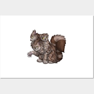 CerPURRus: Chocolate Tabby Posters and Art